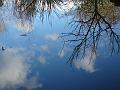 2010-0205-1445_Reflections_10,9C